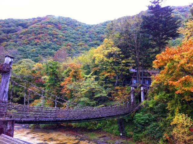 Honke Bankyu Hotel Nikko Buitenkant foto